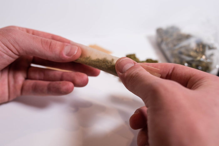 Tips for Rolling a Joint Professionally