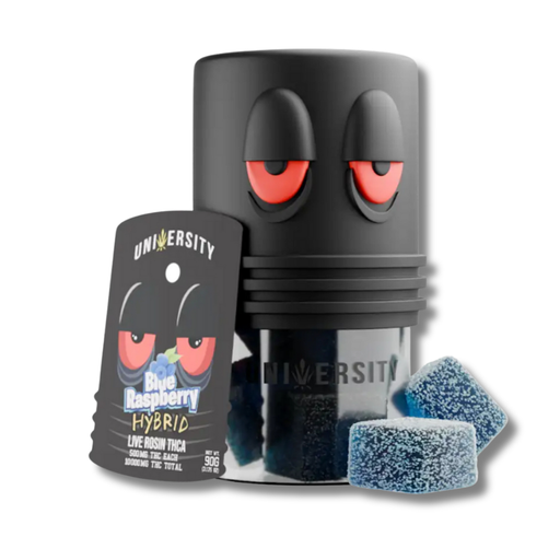 University Live Rosin THCA Gummies 10,000MG - Blue Raspberry